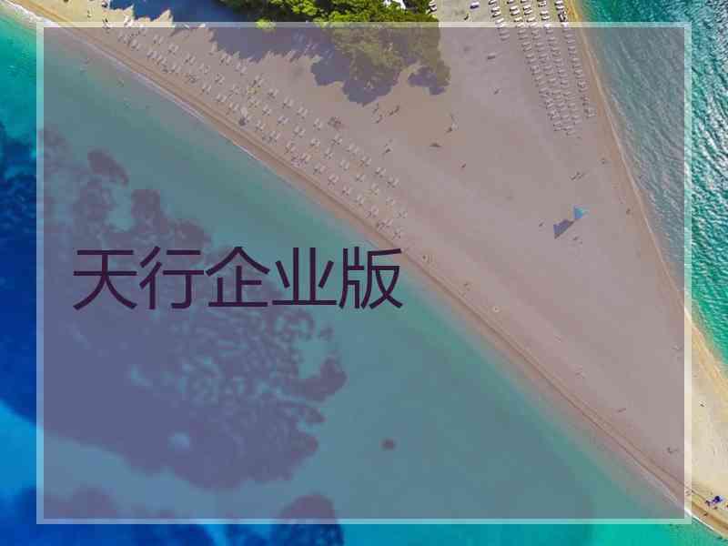 天行企业版