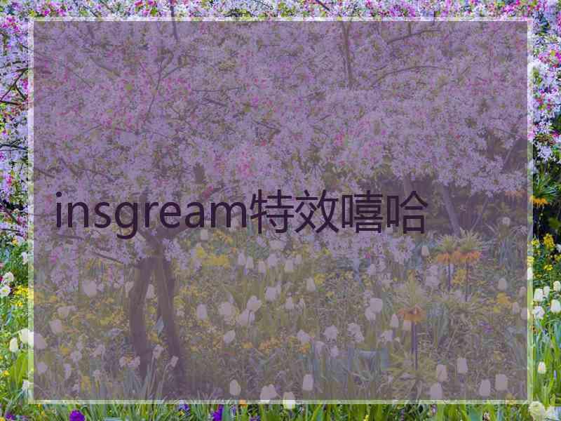 insgream特效嘻哈