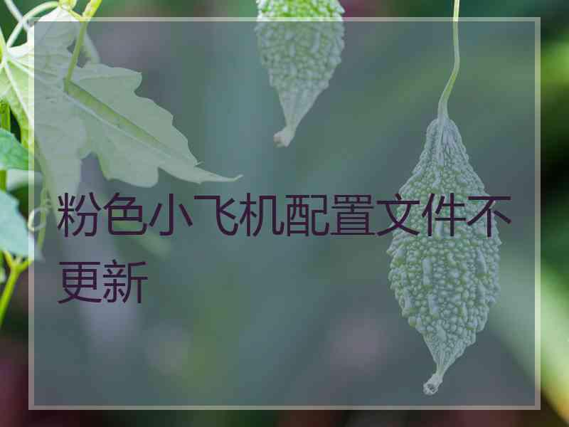 粉色小飞机配置文件不更新