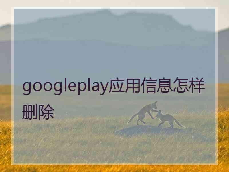 googleplay应用信息怎样删除