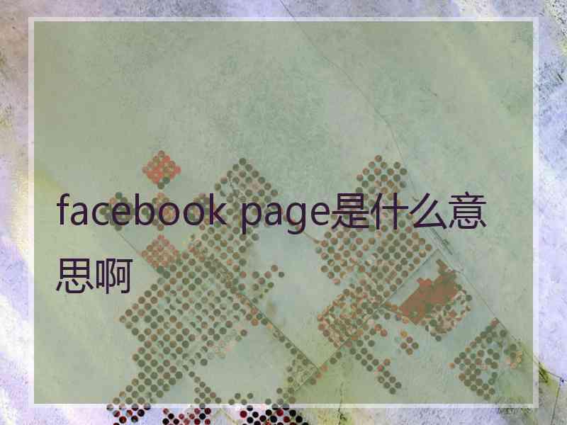 facebook page是什么意思啊