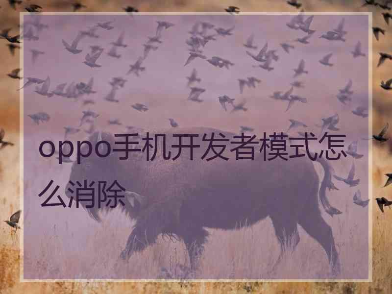 oppo手机开发者模式怎么消除