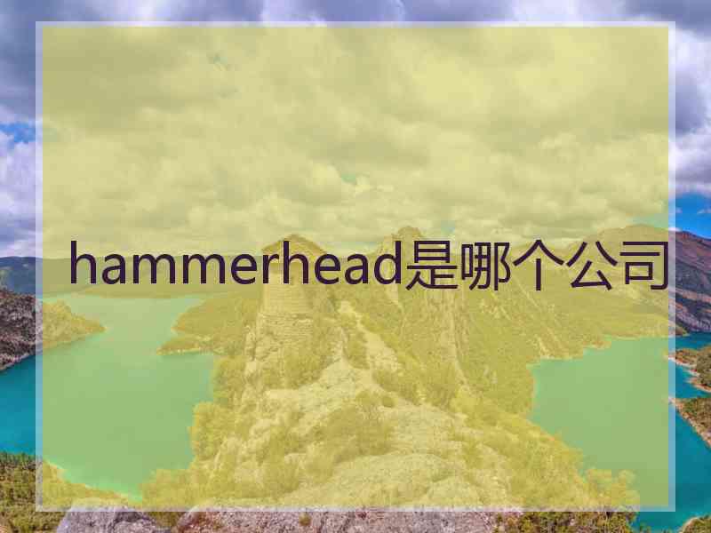 hammerhead是哪个公司