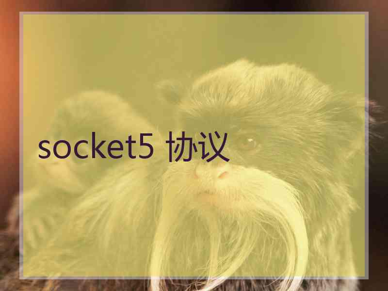 socket5 协议