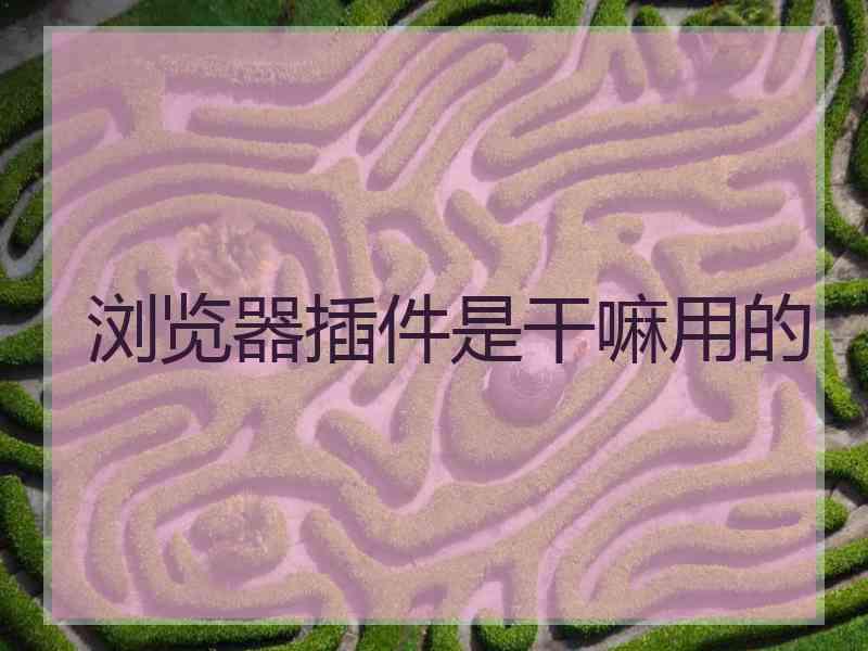 浏览器插件是干嘛用的