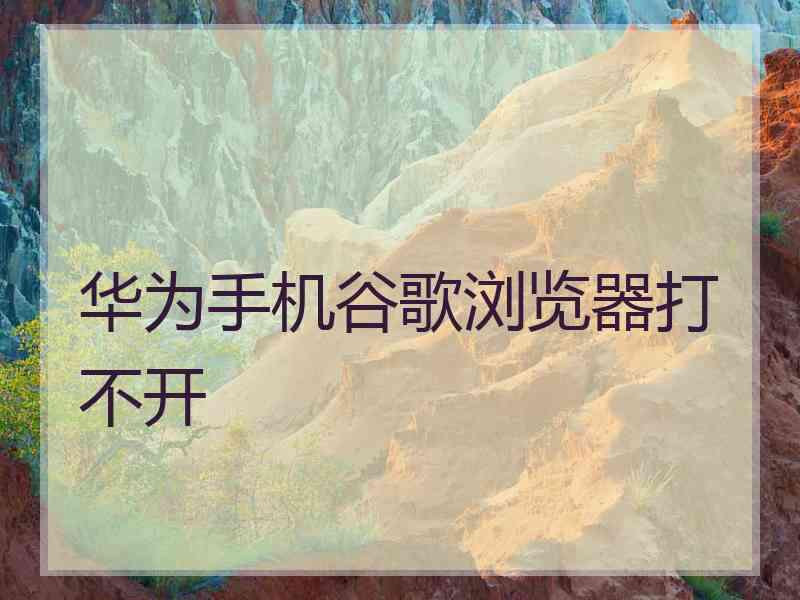 华为手机谷歌浏览器打不开