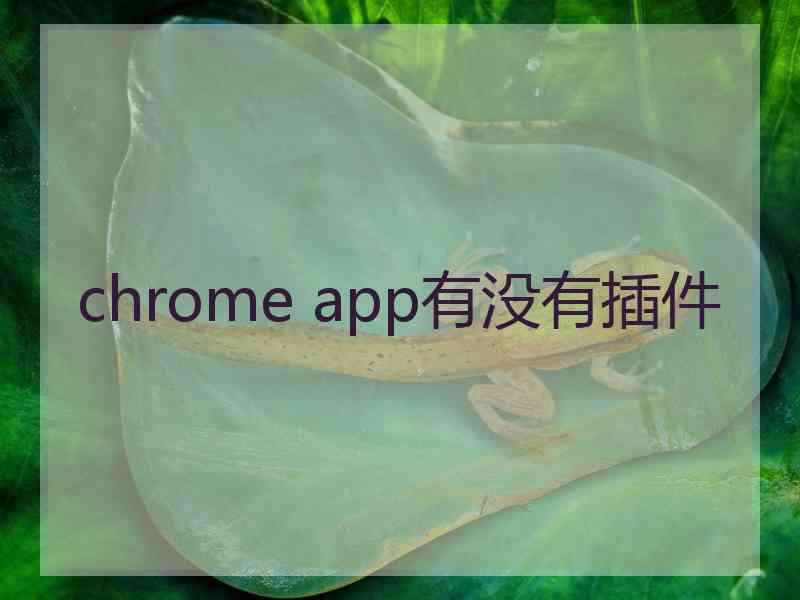 chrome app有没有插件