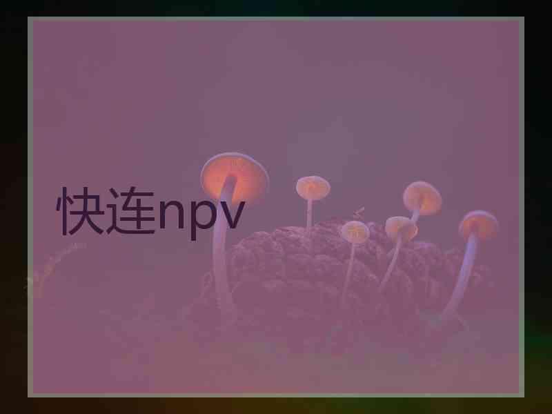 快连npv