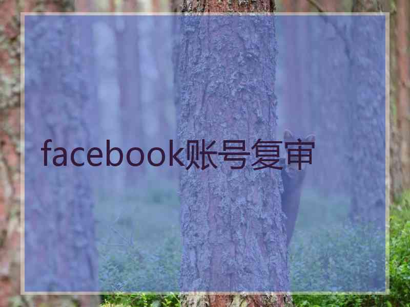 facebook账号复审