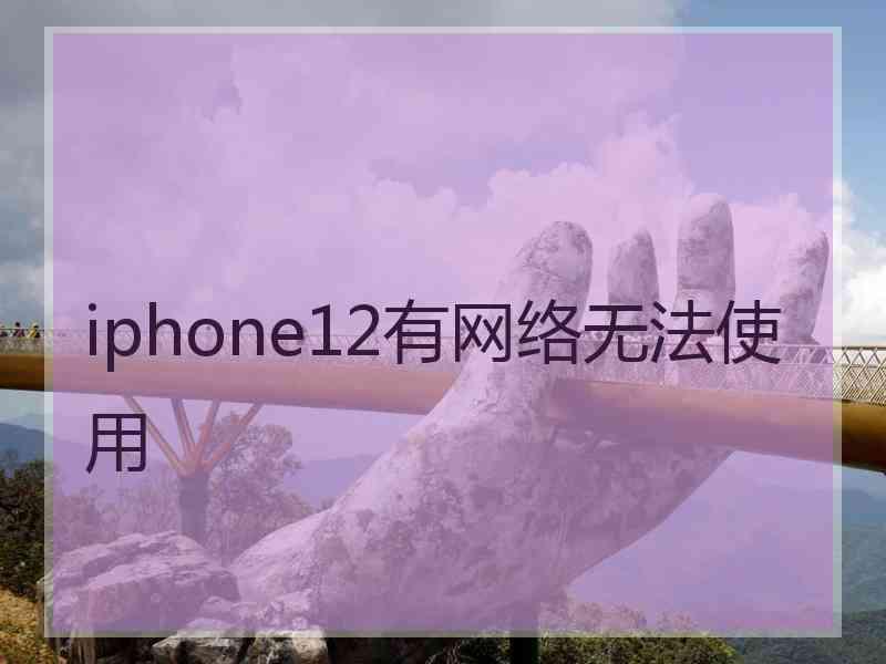 iphone12有网络无法使用