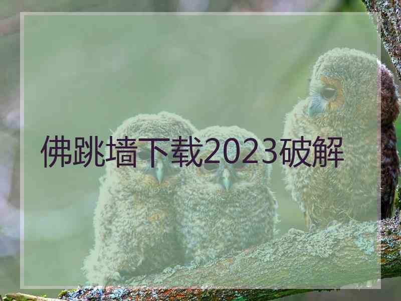 佛跳墙下载2023破解