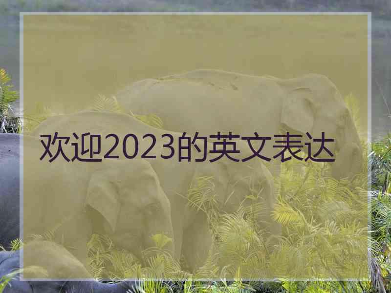 欢迎2023的英文表达