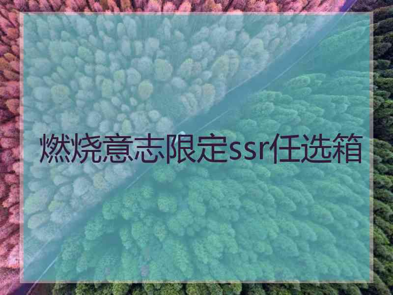 燃烧意志限定ssr任选箱