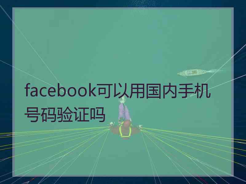 facebook可以用国内手机号码验证吗