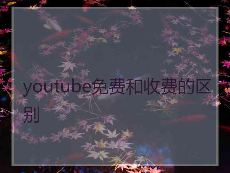 youtube免费和收费的区别