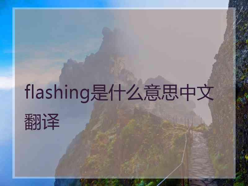 flashing是什么意思中文翻译