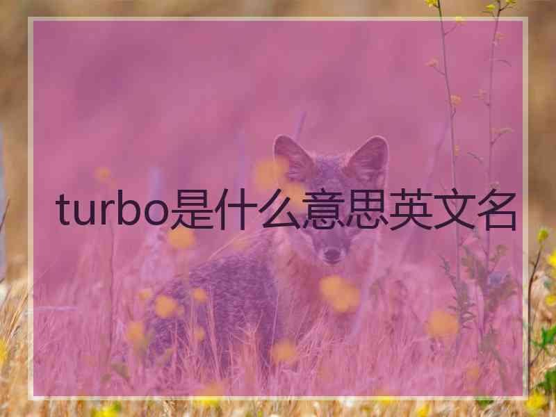 turbo是什么意思英文名