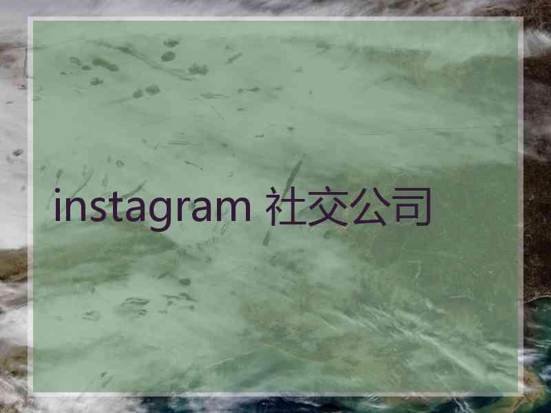 instagram 社交公司