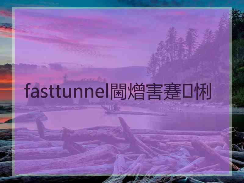 fasttunnel閫熷害蹇悧