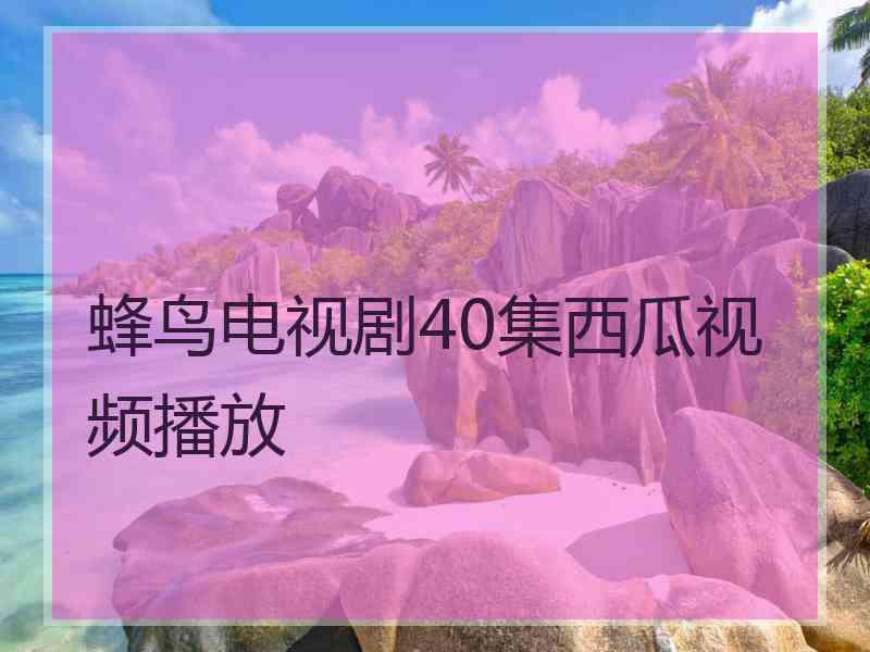 蜂鸟电视剧40集西瓜视频播放