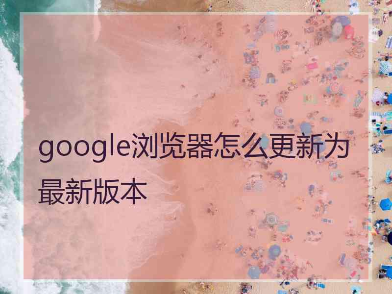 google浏览器怎么更新为最新版本