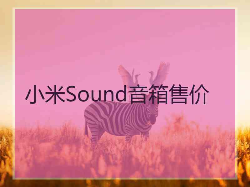 小米Sound音箱售价