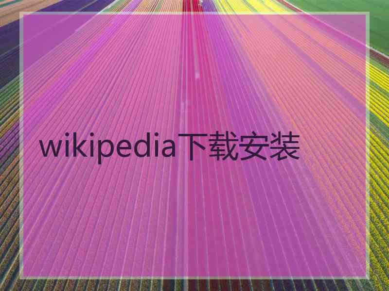 wikipedia下载安装