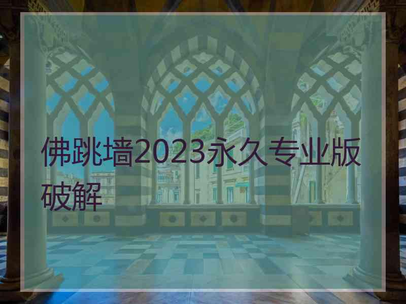 佛跳墙2023永久专业版破解