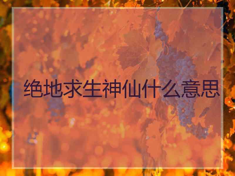 绝地求生神仙什么意思