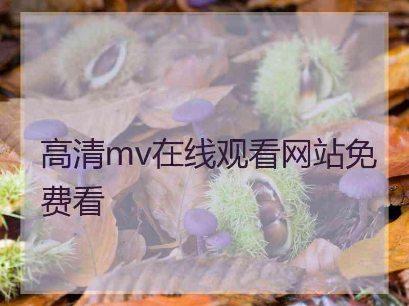 高清mv在线观看网站免费看