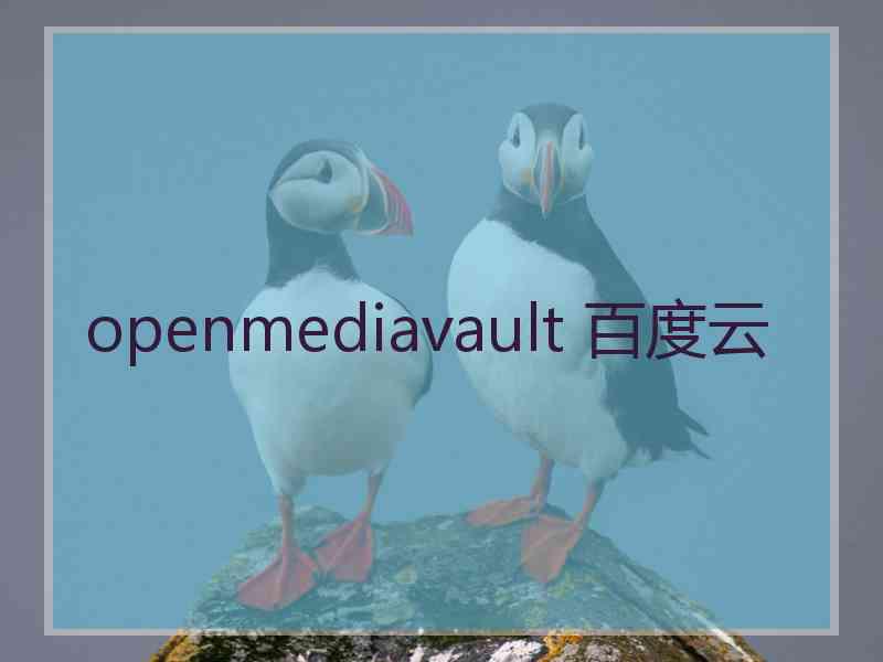 openmediavault 百度云