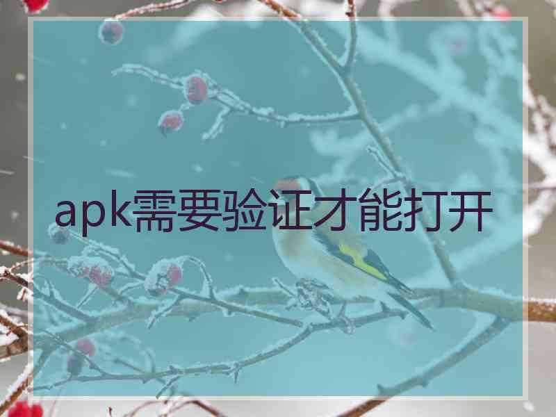 apk需要验证才能打开