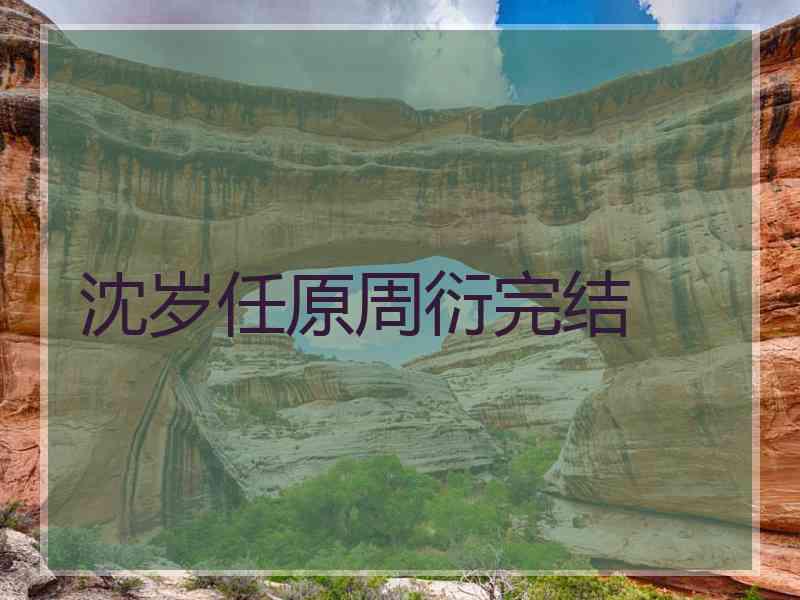 沈岁任原周衍完结