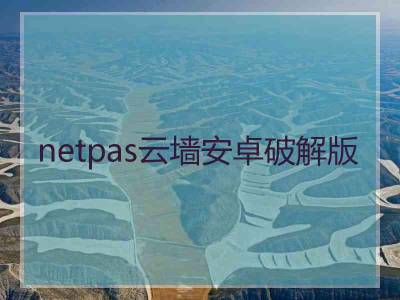 netpas云墙安卓破解版