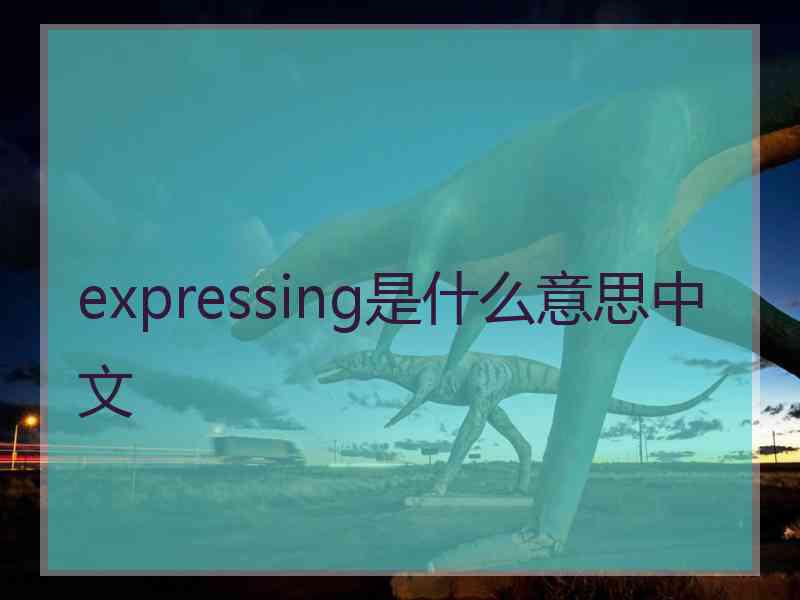 expressing是什么意思中文