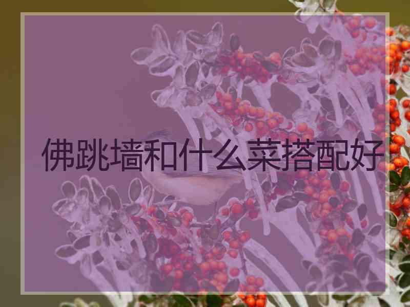 佛跳墙和什么菜搭配好