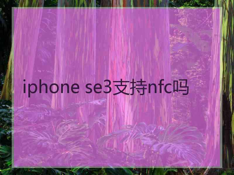 iphone se3支持nfc吗