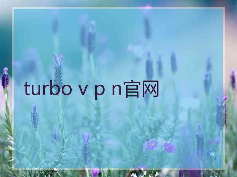 turbo v p n官网