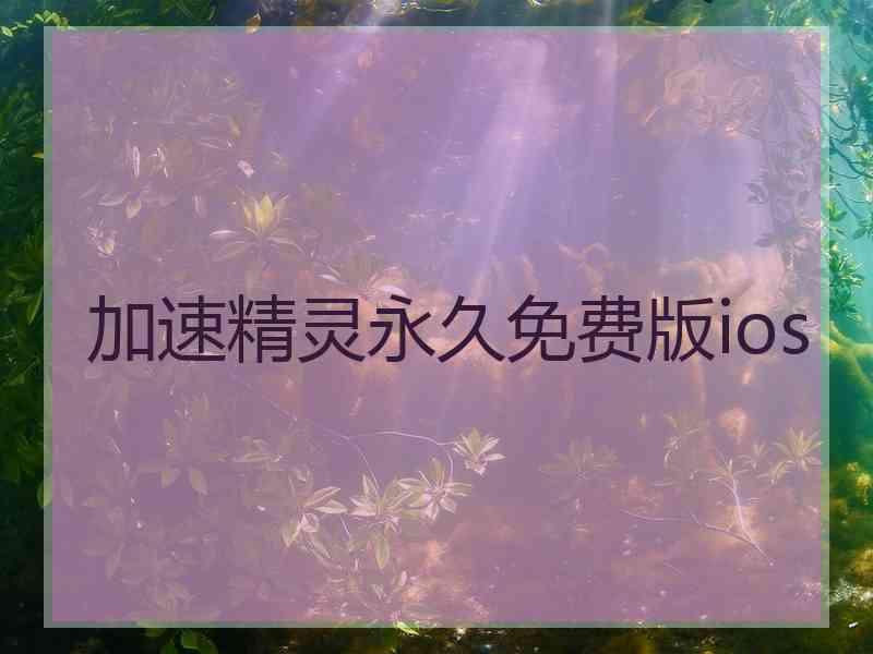 加速精灵永久免费版ios