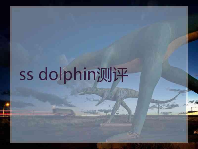 ss dolphin测评