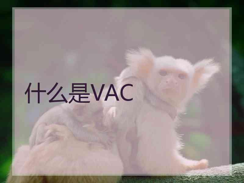 什么是VAC