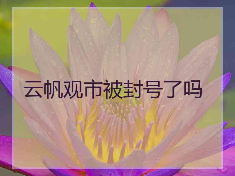 云帆观市被封号了吗