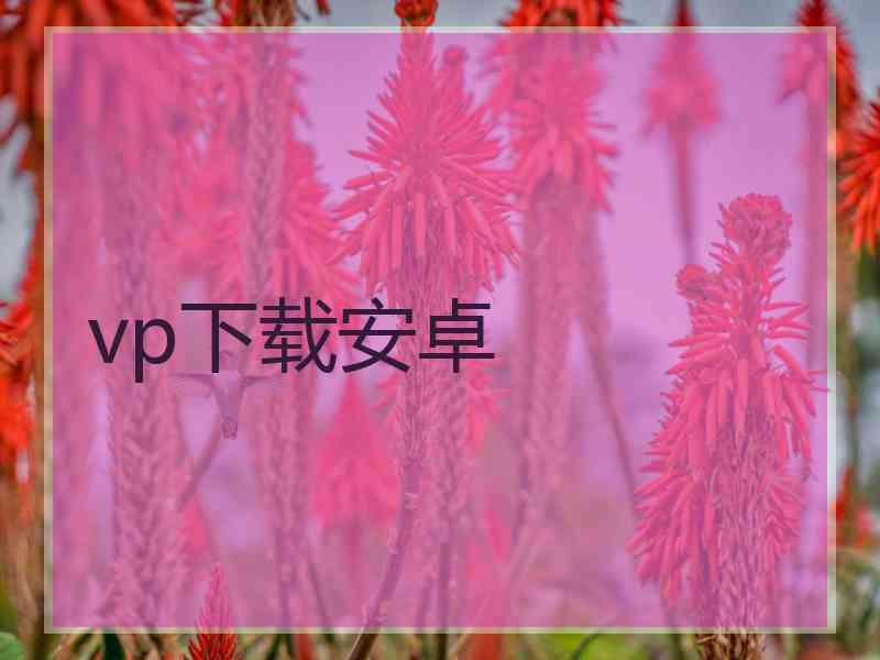 vp下载安卓