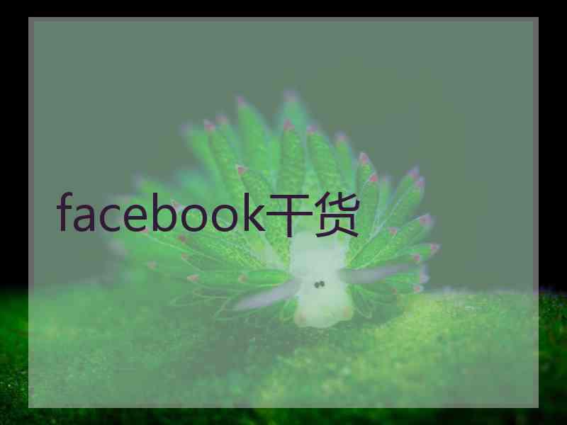 facebook干货