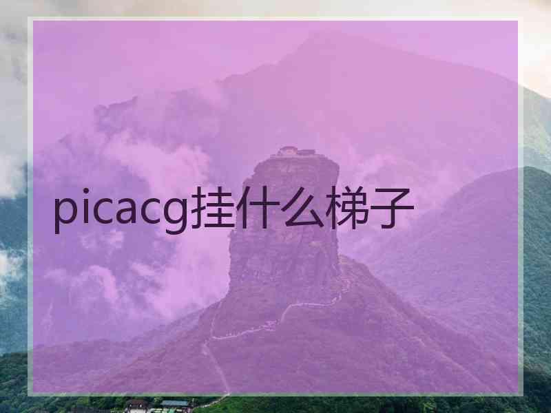 picacg挂什么梯子