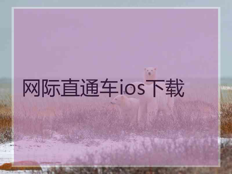 网际直通车ios下载