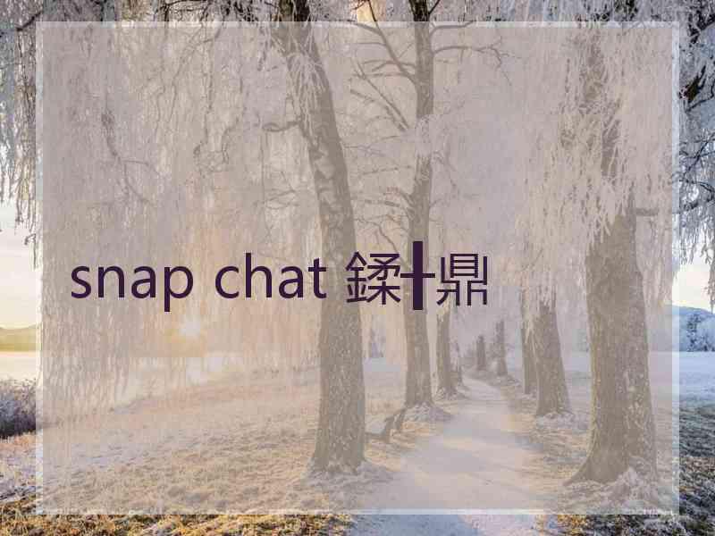 snap chat 鍒╂鼎