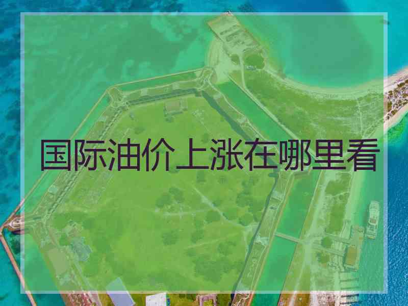 国际油价上涨在哪里看