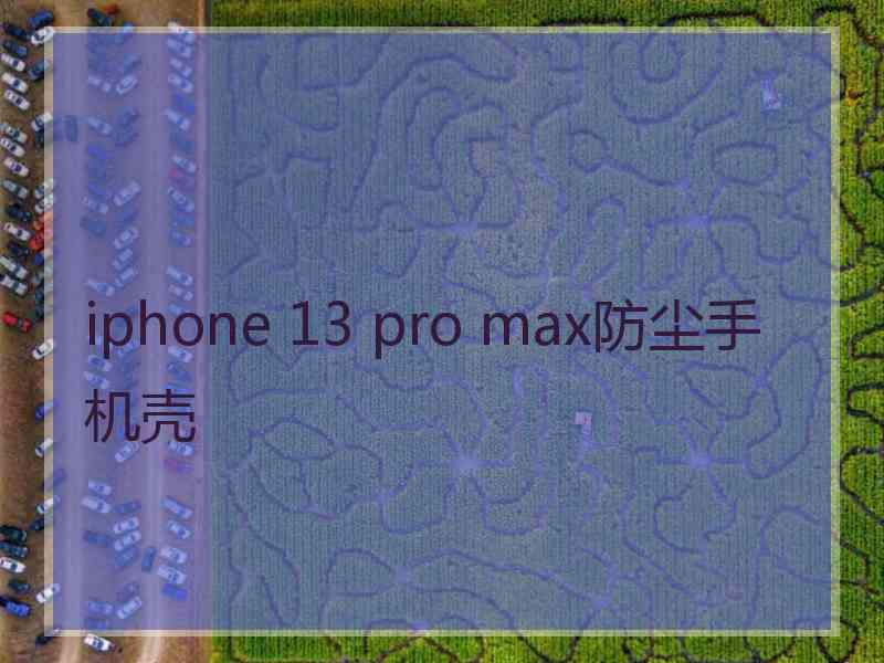 iphone 13 pro max防尘手机壳