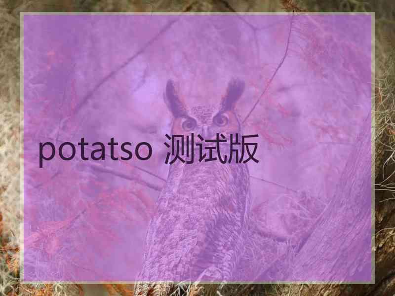 potatso 测试版